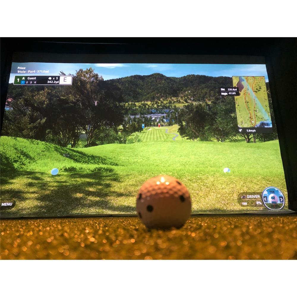 ELITE Golf Simulator Einzelbox Enclosure ALU Frame