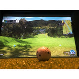 ELITE Golf Simulator Einzelbox Enclosure ALU Frame
